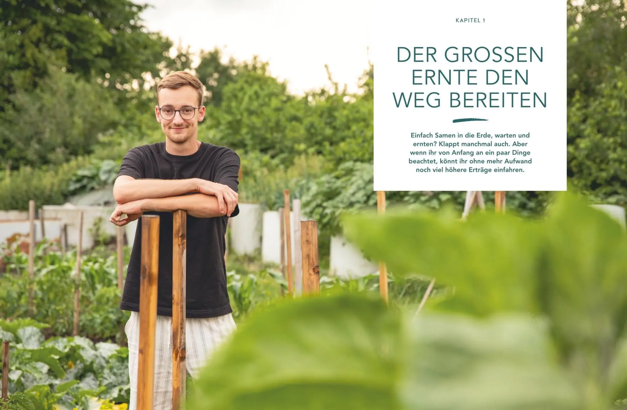 Bild: 9783833899676 | Mehr Power für dein Gemüse | Felix Wilming | Buch | 224 S. | Deutsch