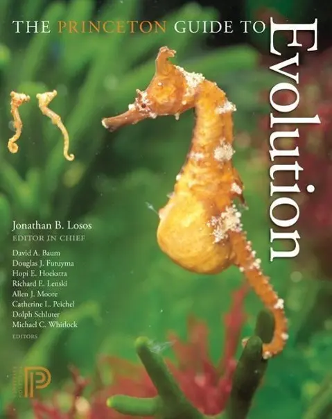 Cover: 9780691149776 | Losos, J: Princeton Guide to Evolution | Jonathan B. Losos | Buch