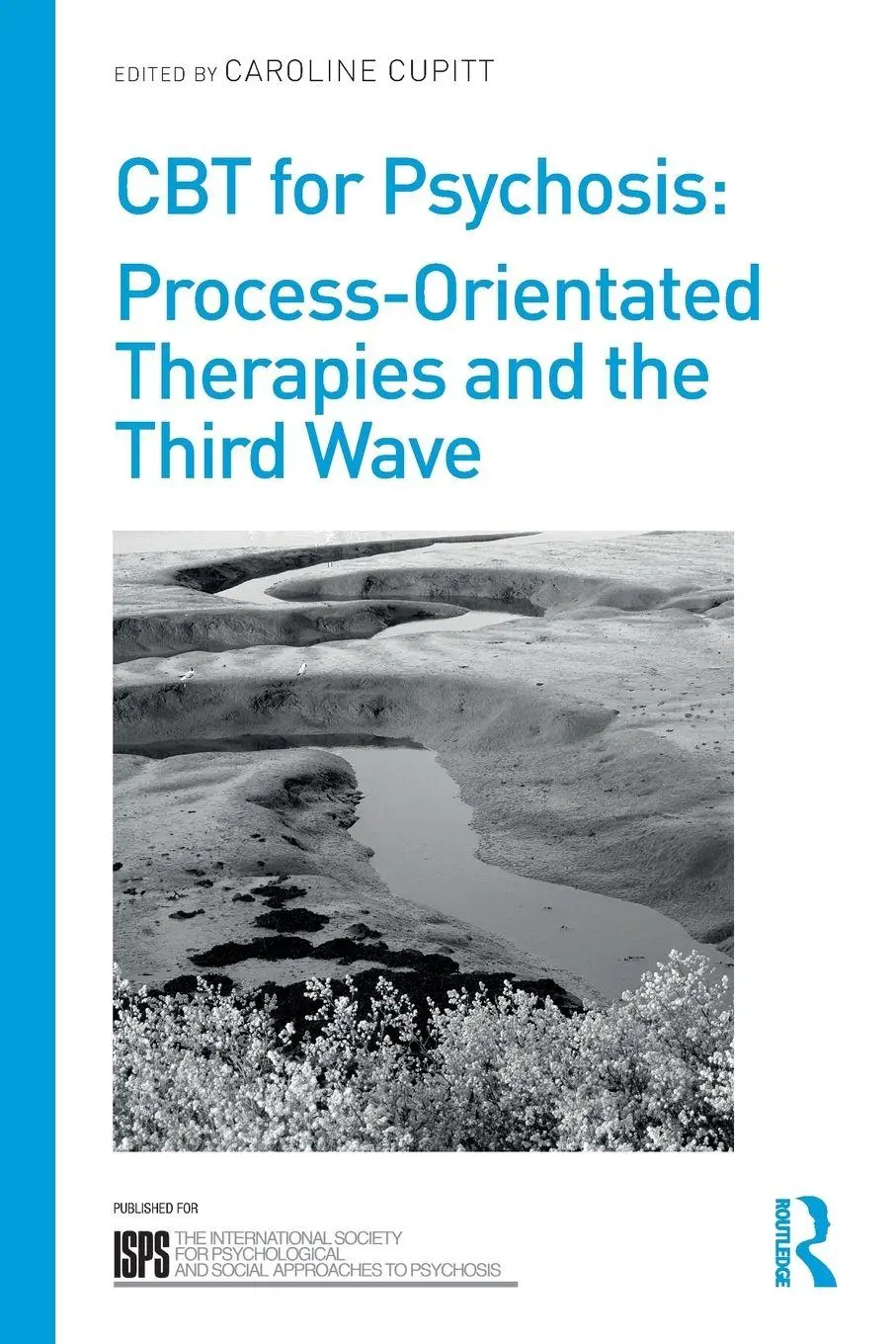 Cover: 9781138239876 | CBT for Psychosis | Process-orientated Therapies and the Third Wave
