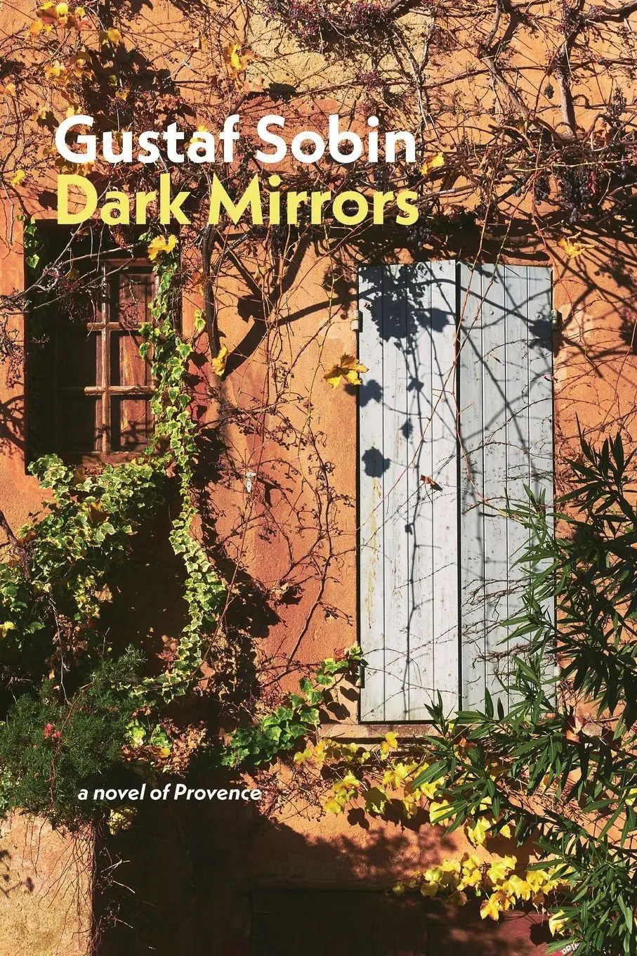 Cover: 9781848619876 | Dark Mirrors | Gustaf Sobin | Taschenbuch | Englisch | 2025