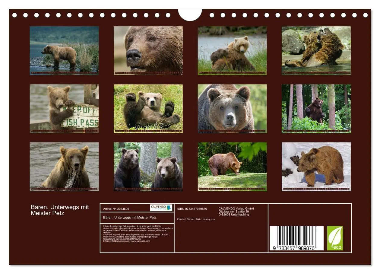 Bild: 9783457989876 | Bären. Unterwegs mit Meister Petz (Wandkalender 2026 DIN A4 quer),...
