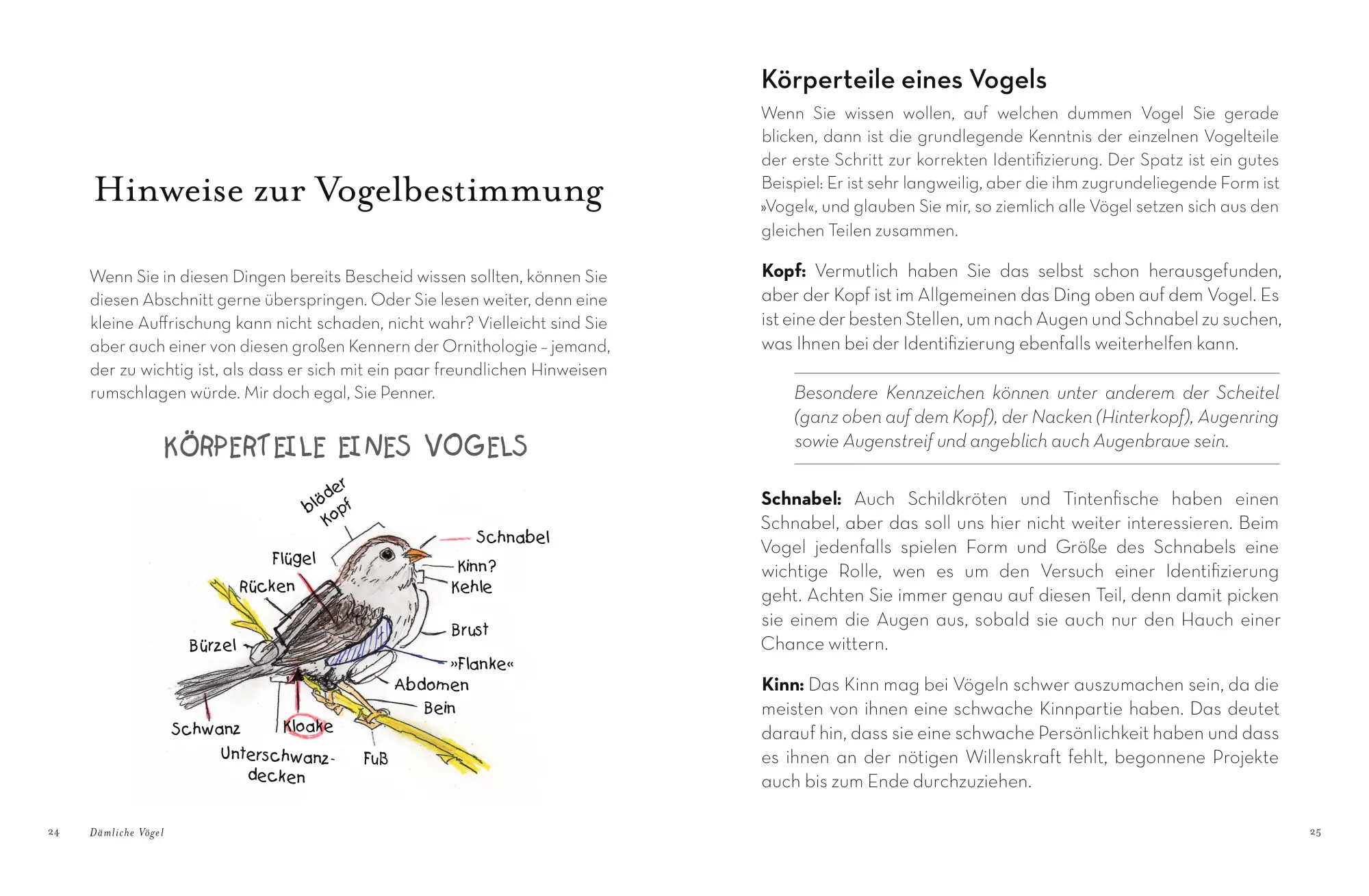 Bild: 9783742319876 | Dämliche Vögel | Matt Kracht | Taschenbuch | Deutsch | 2022