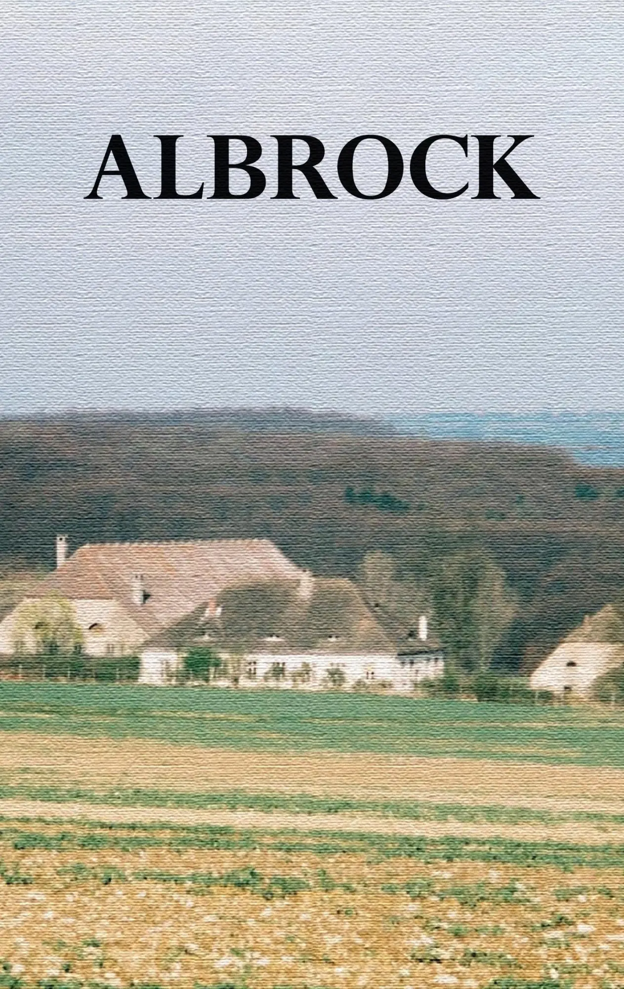 Cover: 9783755739876 | Albrock | Andreas Walther | Taschenbuch | 316 S. | Deutsch | 2023