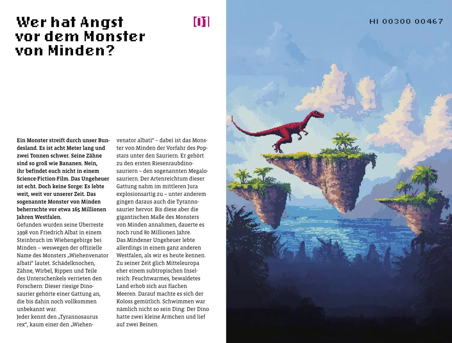 Bild: 9783774309876 | Vom Neandertal zur Gamescom. 33 Short Stories aus NRW | Sofia Grillo