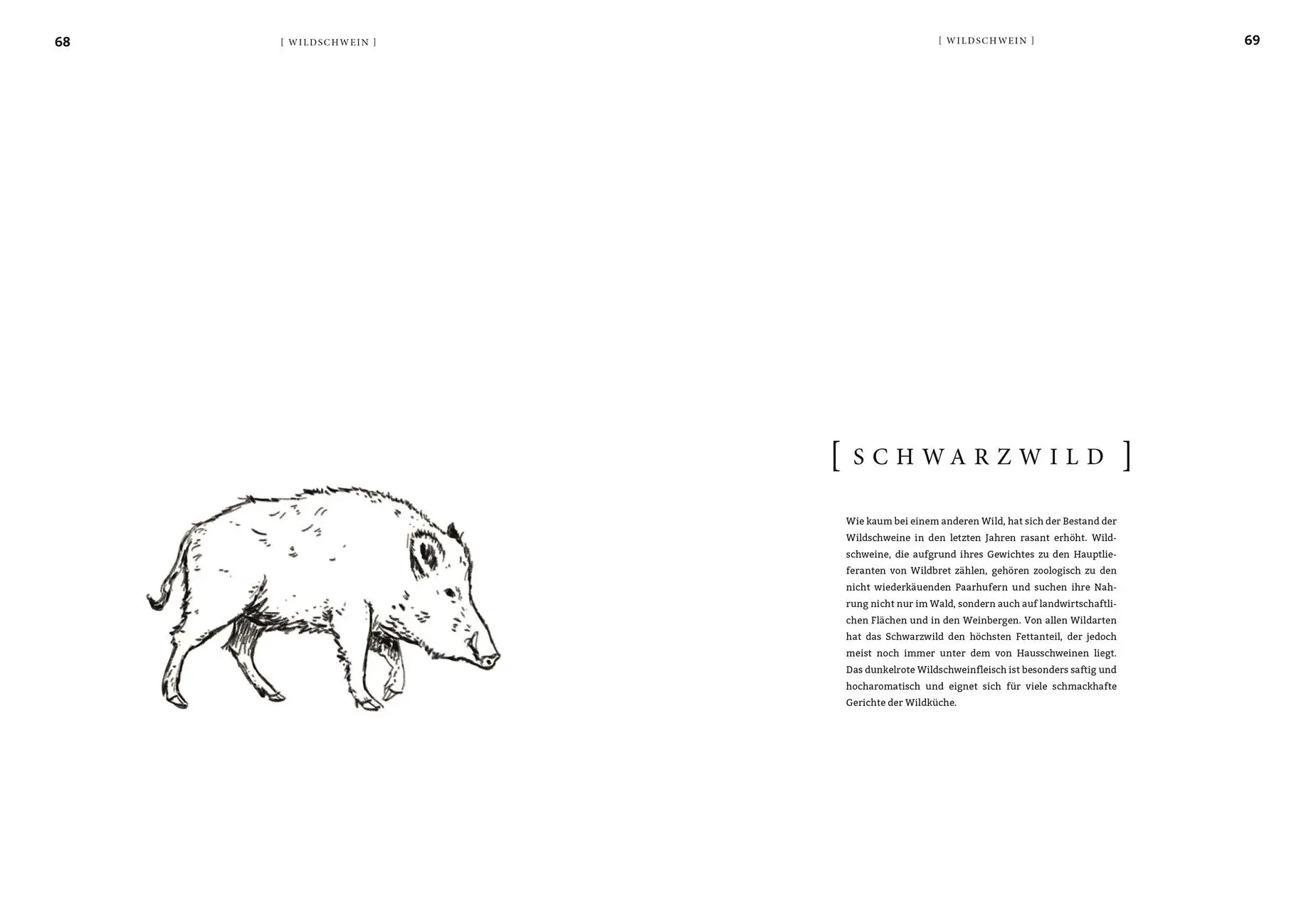 Bild: 9783831039876 | Wild | 200 junge Rezepte natürlich aus dem Wald | Harald Rüssel | Buch