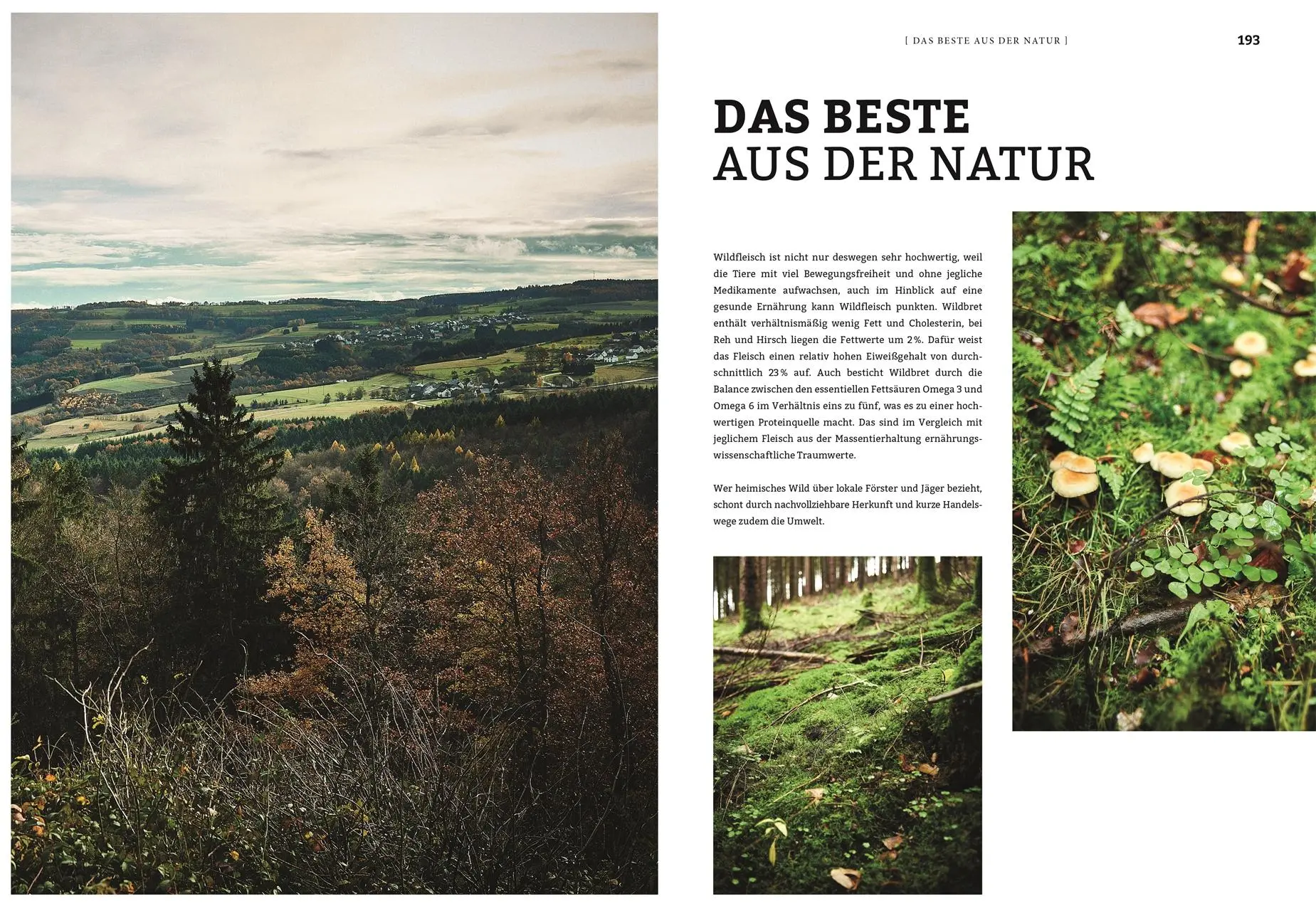 Bild: 9783831039876 | Wild | 200 junge Rezepte natürlich aus dem Wald | Harald Rüssel | Buch