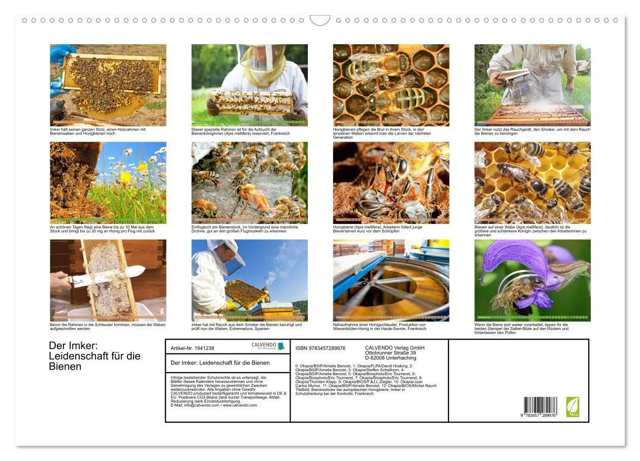 Bild: 9783457289976 | Der Imker: Leidenschaft für die Bienen (Wandkalender 2026 DIN A2...