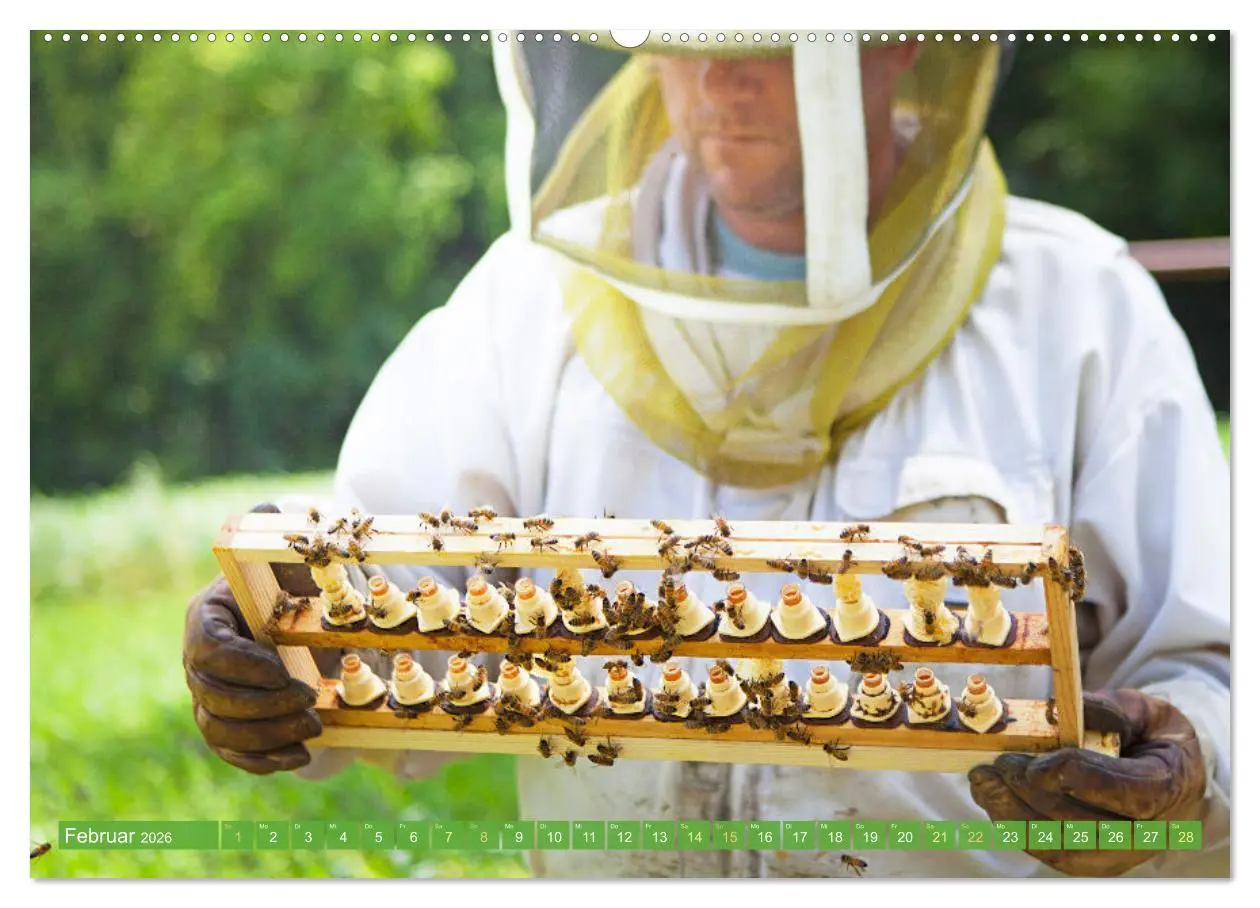 Bild: 9783457289976 | Der Imker: Leidenschaft für die Bienen (Wandkalender 2026 DIN A2...