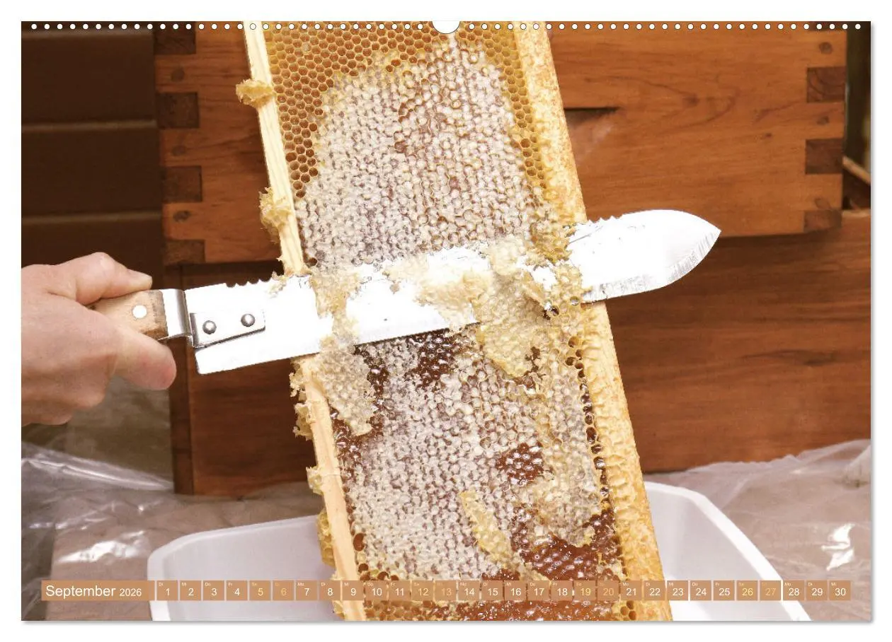 Bild: 9783457289976 | Der Imker: Leidenschaft für die Bienen (Wandkalender 2026 DIN A2...