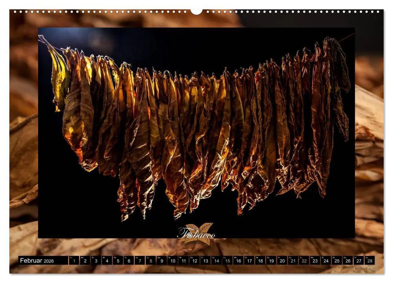 Bild: 9783457979976 | Tobacco - Genuss und Flair der Tabakkultur (Wandkalender 2026 DIN...