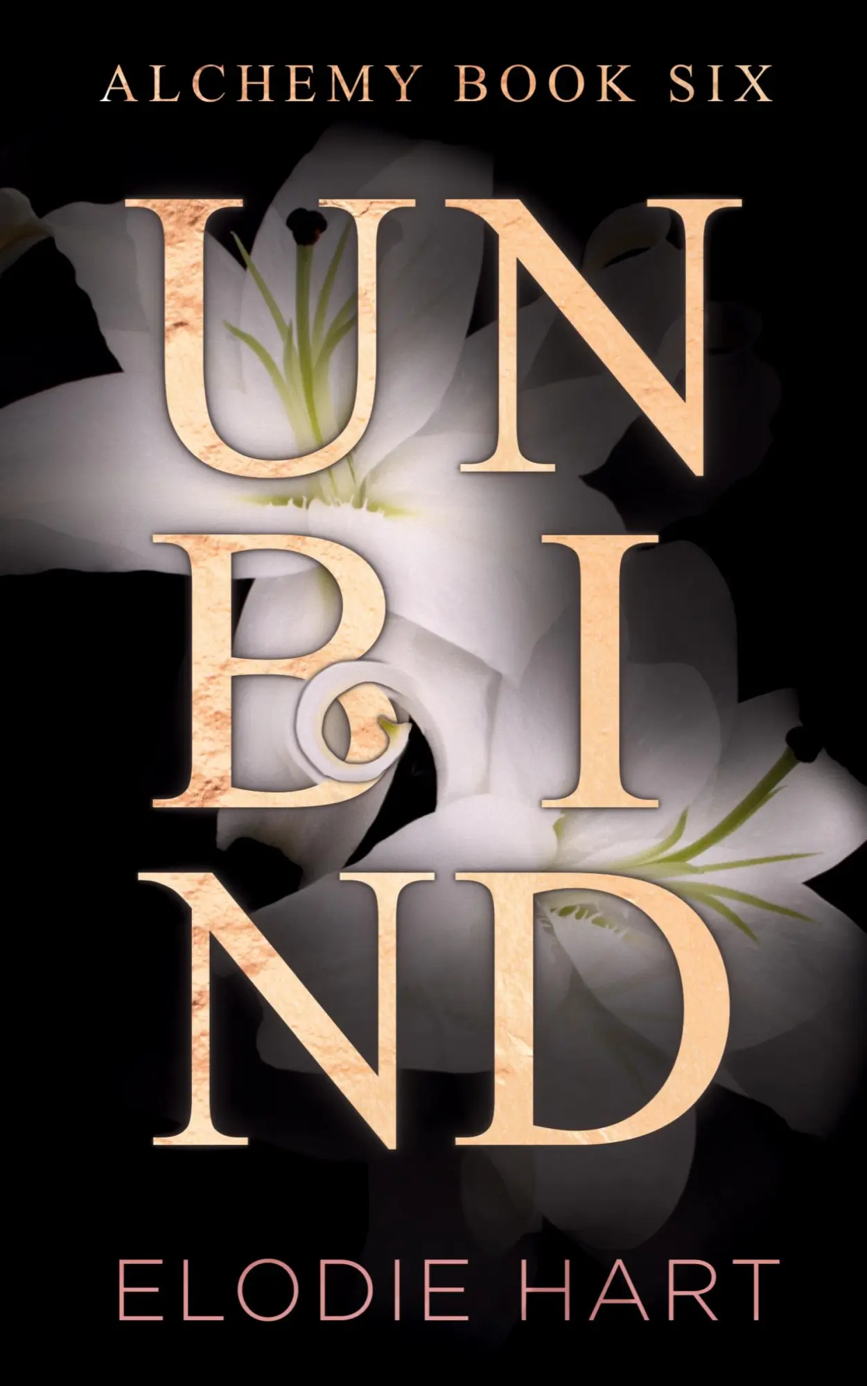 Cover: 9781917190077 | Unbind | Elodie Hart | Taschenbuch | Englisch | 2024