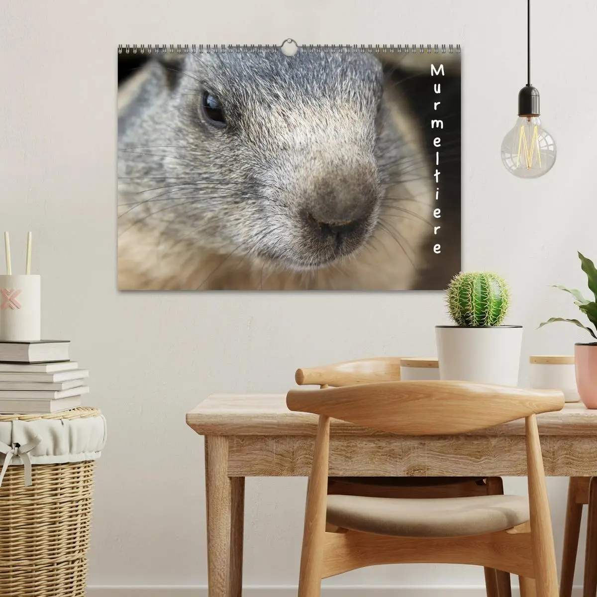 Bild: 9783516180077 | Murmeltiere (Wandkalender 2026 DIN A3 quer), CALVENDO Monatskalender