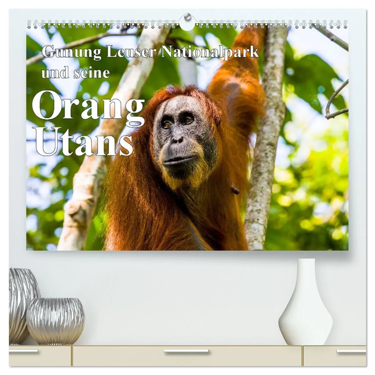Cover: 9783457390177 | Gunung Leuser Nationalpark und seine Orang Utans (hochwertiger...