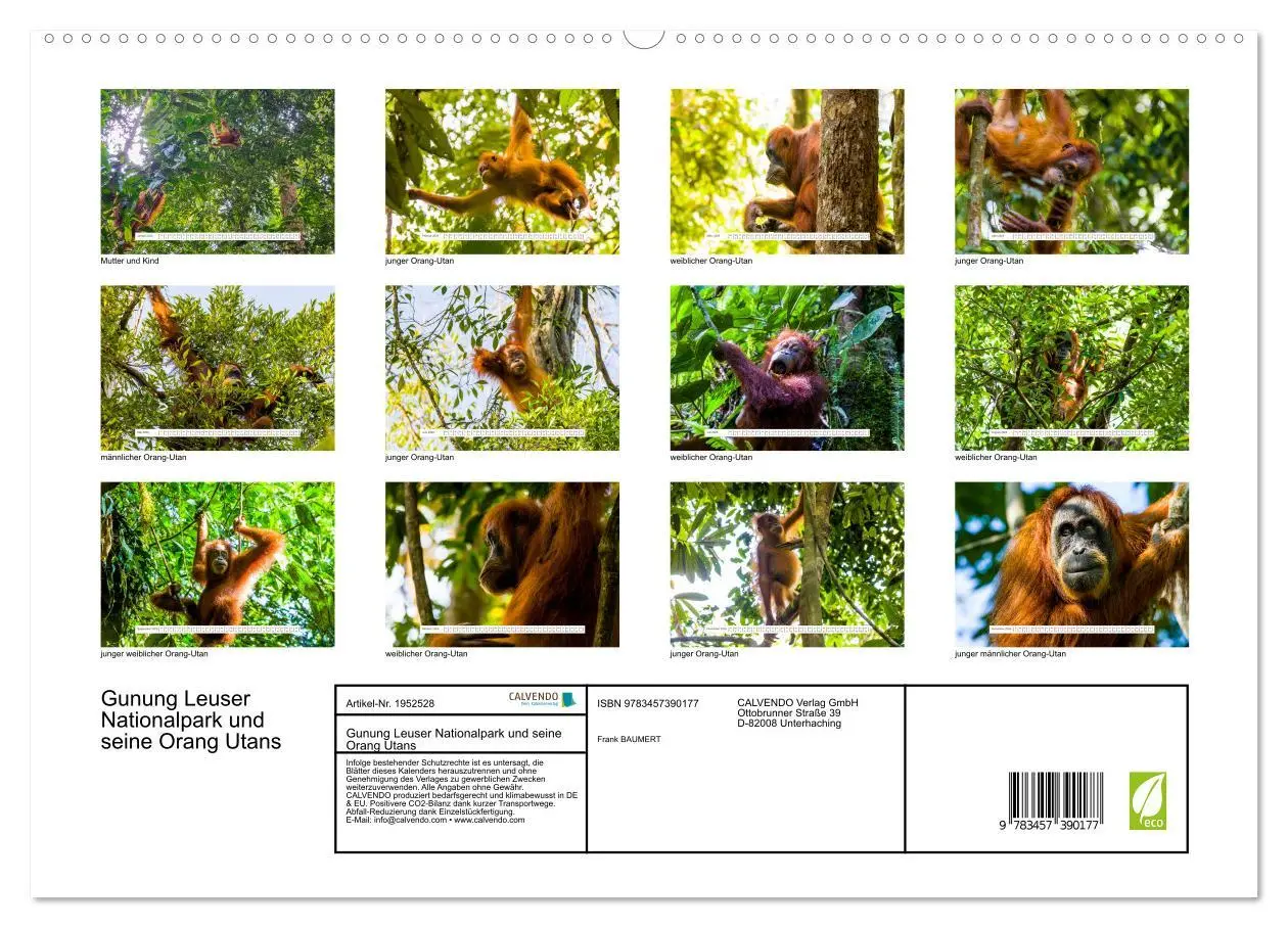 Bild: 9783457390177 | Gunung Leuser Nationalpark und seine Orang Utans (hochwertiger...