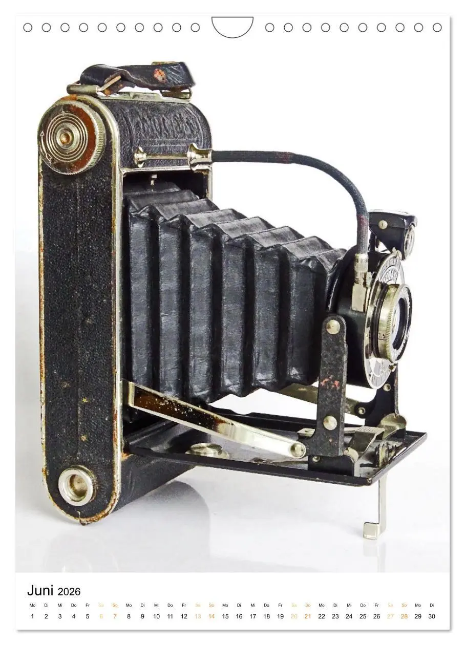 Bild: 9783516310177 | Balgenkameras - Analoge Fotoapparate mit Charme (Wandkalender 2026...