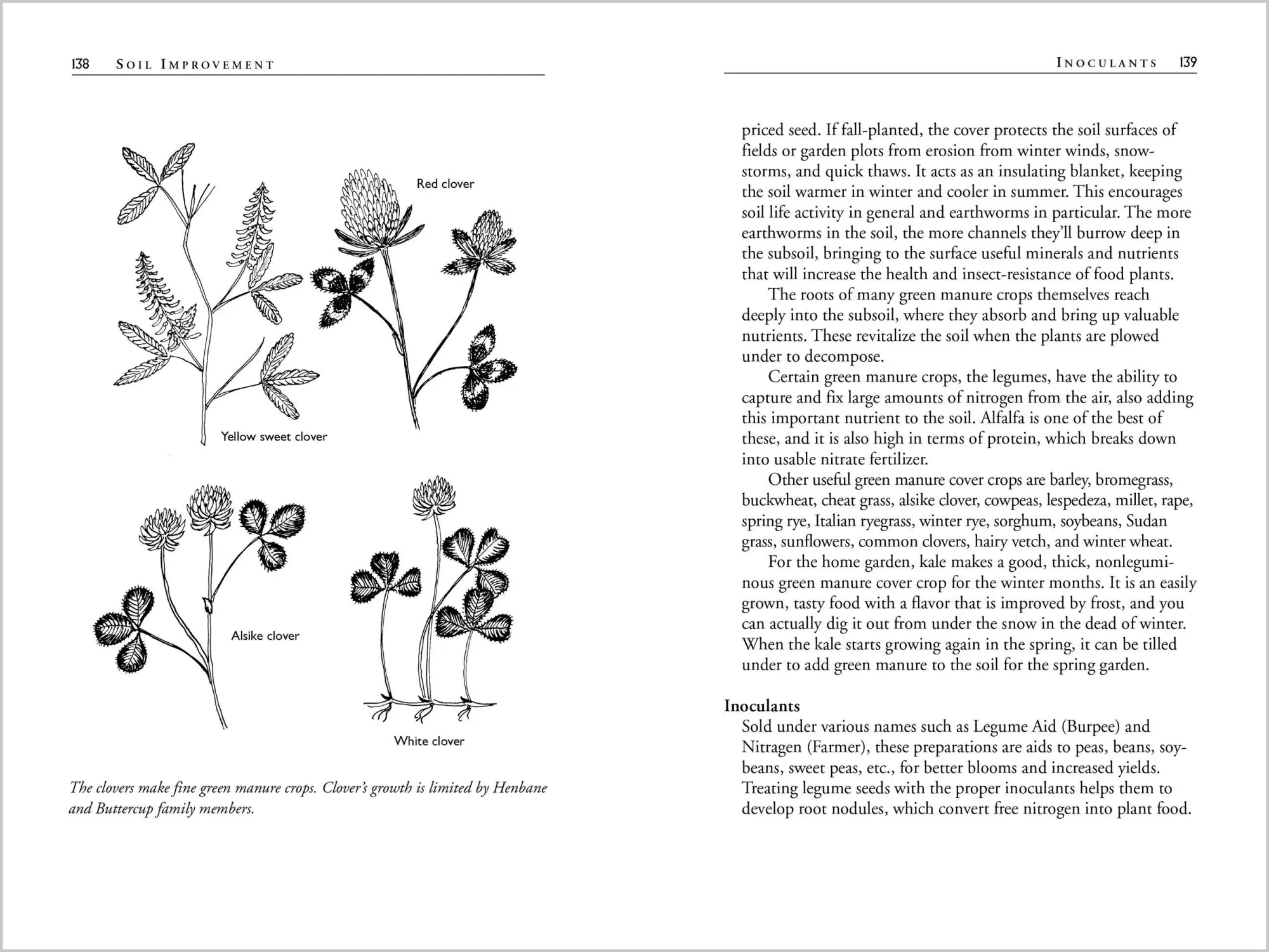 Bild: 9781580170277 | Carrots Love Tomatoes | Louise Riotte | Taschenbuch | Englisch | 1998
