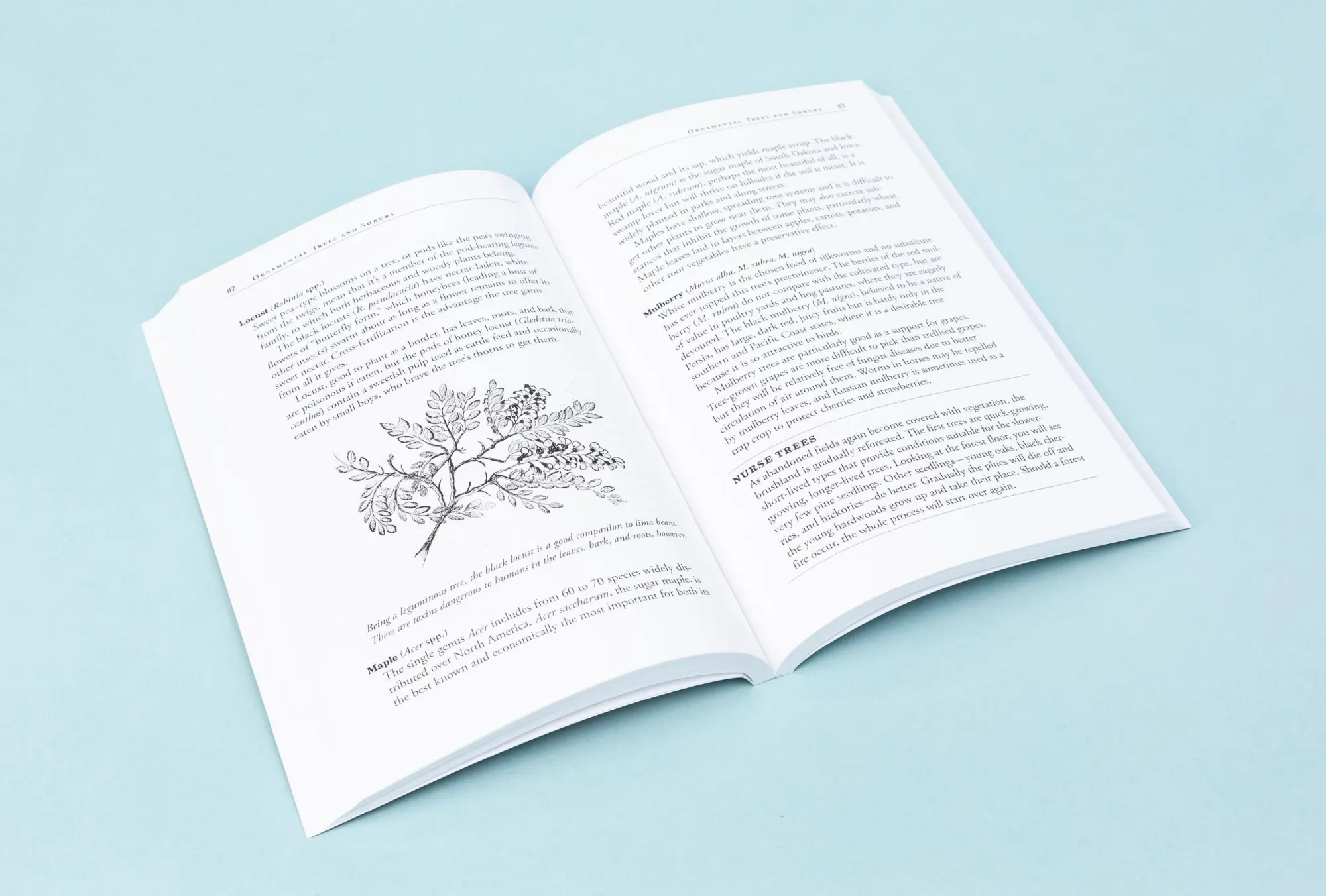 Bild: 9781580170277 | Carrots Love Tomatoes | Louise Riotte | Taschenbuch | Englisch | 1998