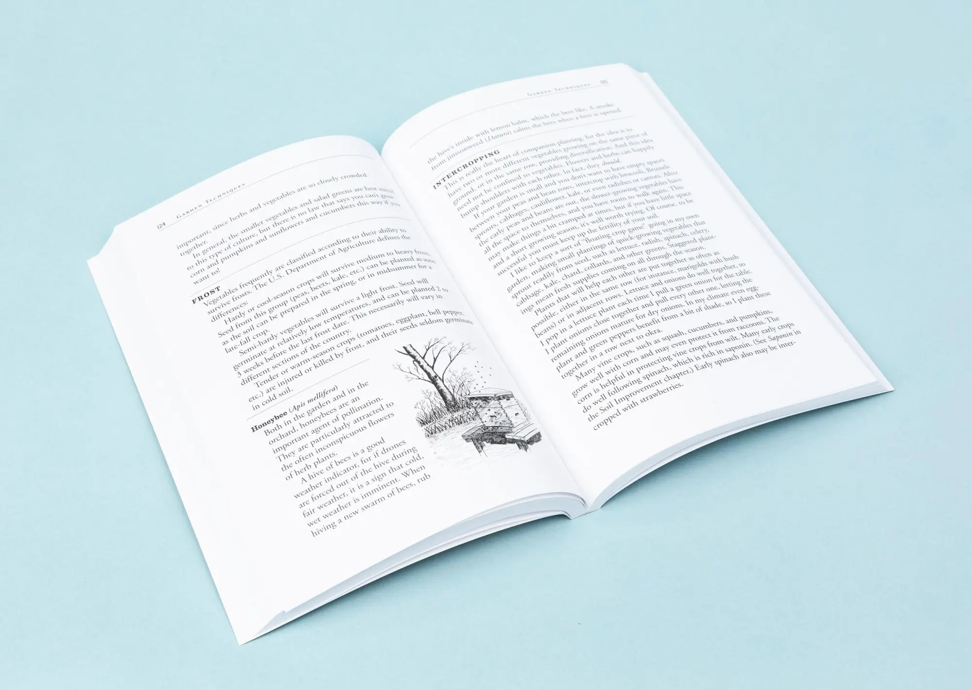 Bild: 9781580170277 | Carrots Love Tomatoes | Louise Riotte | Taschenbuch | Englisch | 1998