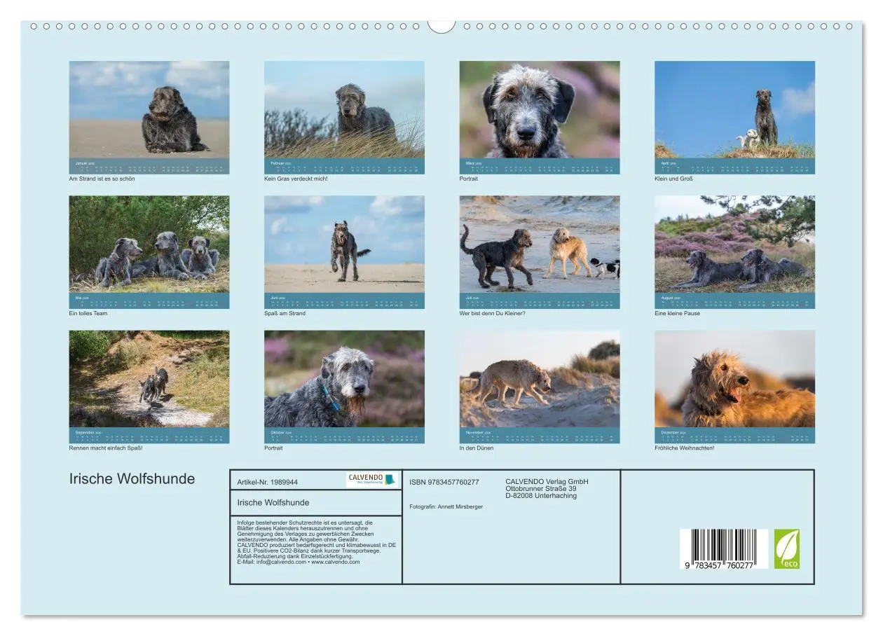 Bild: 9783457760277 | Irische Wolfshunde (hochwertiger Premium Wandkalender 2026 DIN A2...