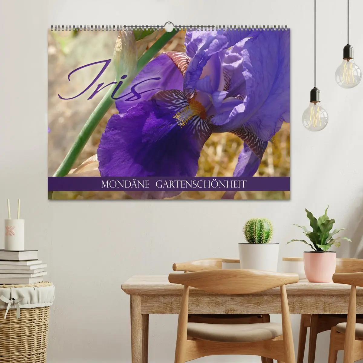 Bild: 9783457830277 | Iris - mondäne Gartenschönheit (Wandkalender 2026 DIN A2 quer),...
