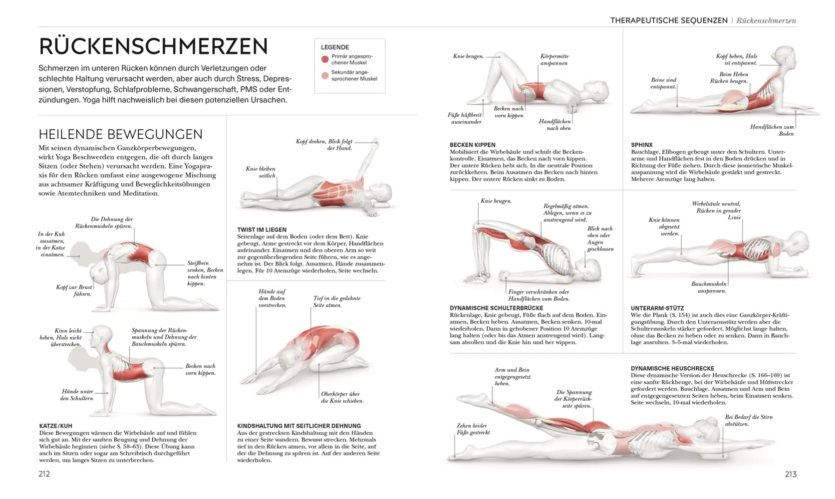 Bild: 9783831050277 | Yoga verstehen - Die Anatomie der Yoga-Haltungen | Ann Swanson | Buch