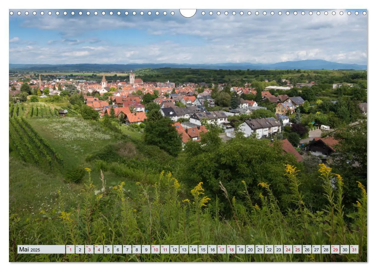Bild: 9783435350377 | Weinregion Kaiserstuhl (Wandkalender 2025 DIN A3 quer), CALVENDO...