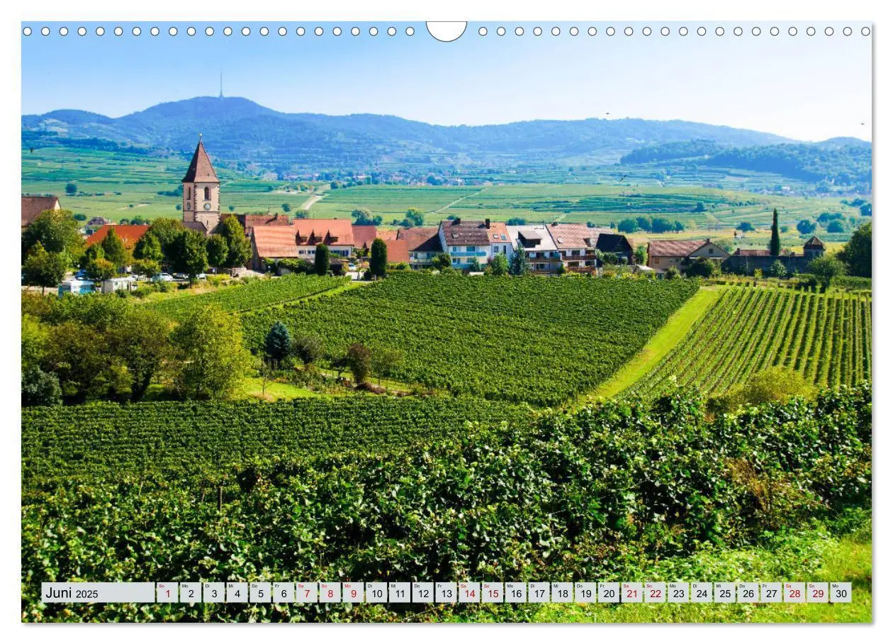 Bild: 9783435350377 | Weinregion Kaiserstuhl (Wandkalender 2025 DIN A3 quer), CALVENDO...