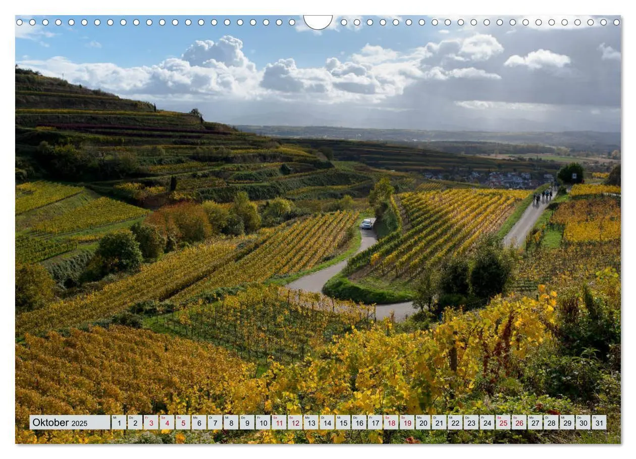 Bild: 9783435350377 | Weinregion Kaiserstuhl (Wandkalender 2025 DIN A3 quer), CALVENDO...