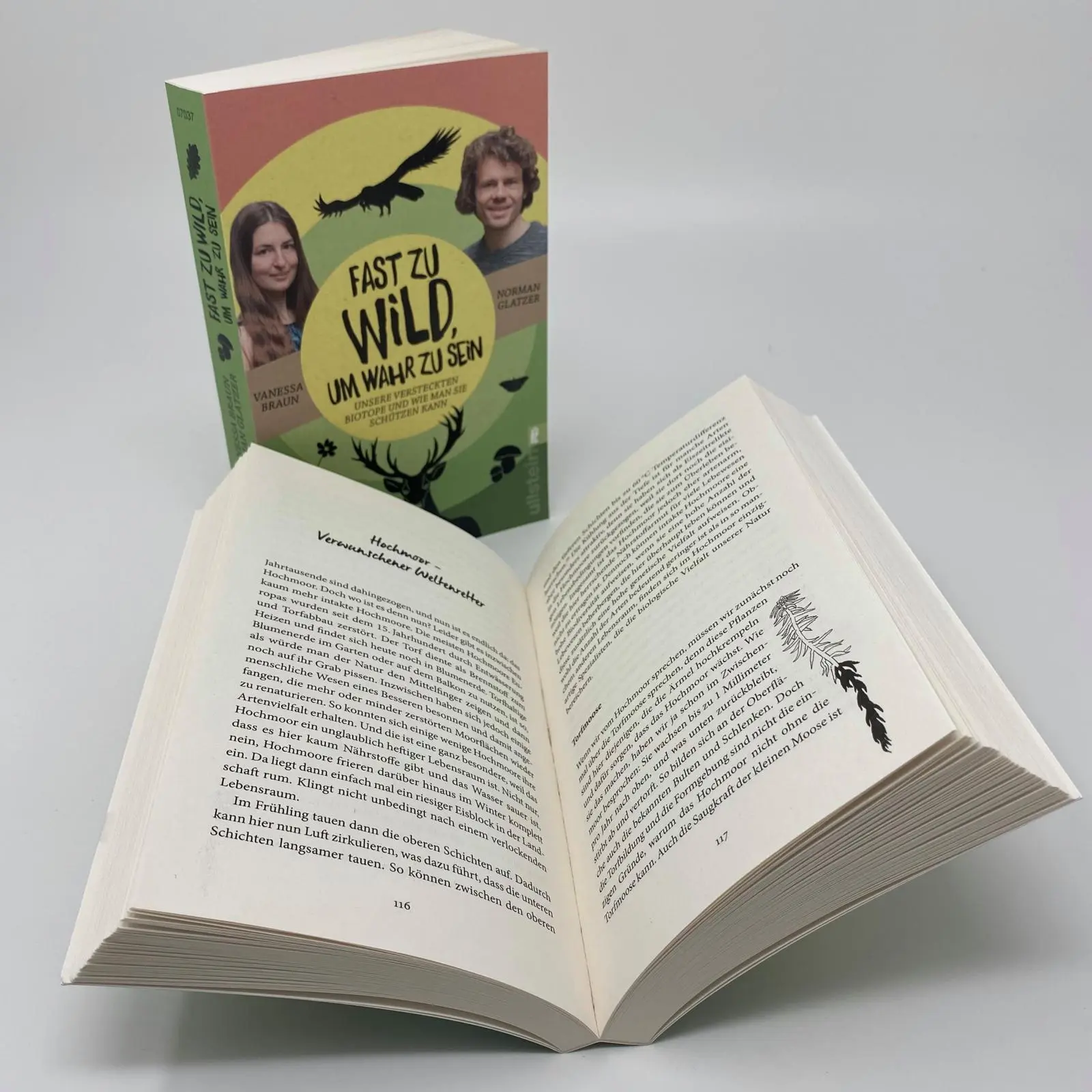 Bild: 9783548070377 | Fast zu wild, um wahr zu sein | Norman Glatzer (u. a.) | Taschenbuch