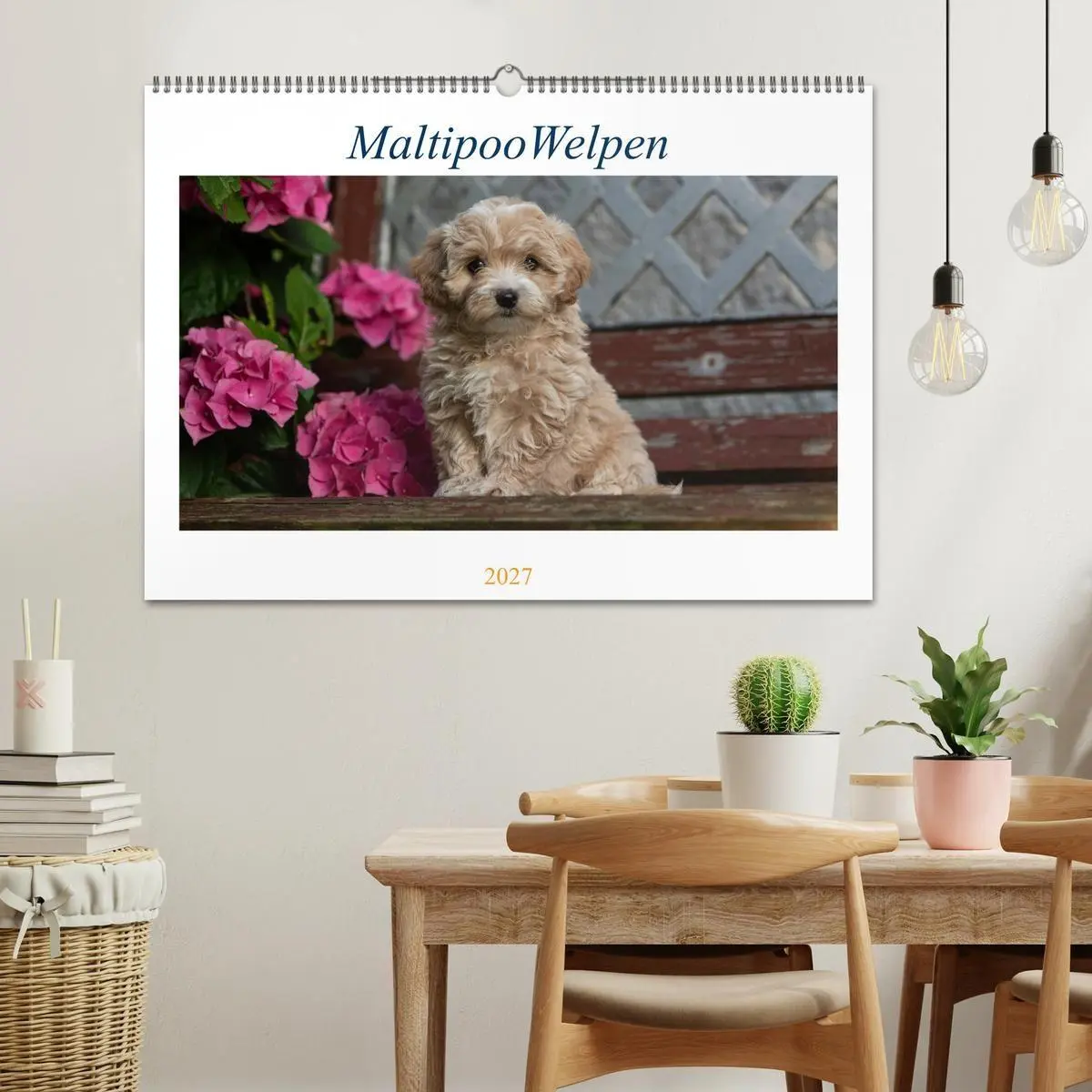 Bild: 9783569480377 | Maltipoo Welpen (Wandkalender 2027 DIN A2 quer), CALVENDO...