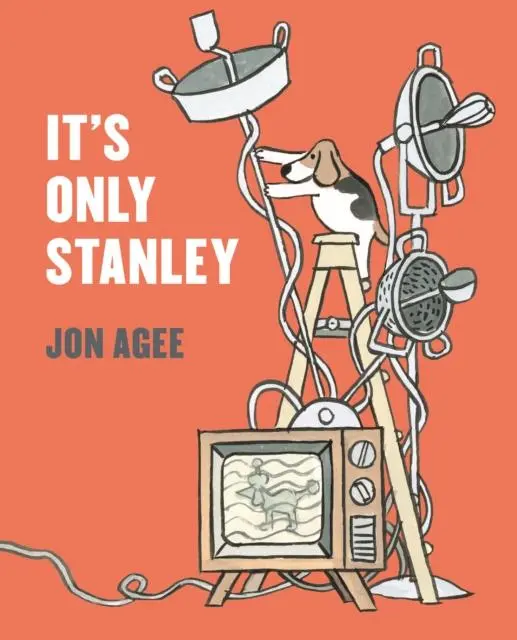 Cover: 9781912650477 | It's Only Stanley | Jon Agee | Taschenbuch | Kartoniert / Broschiert