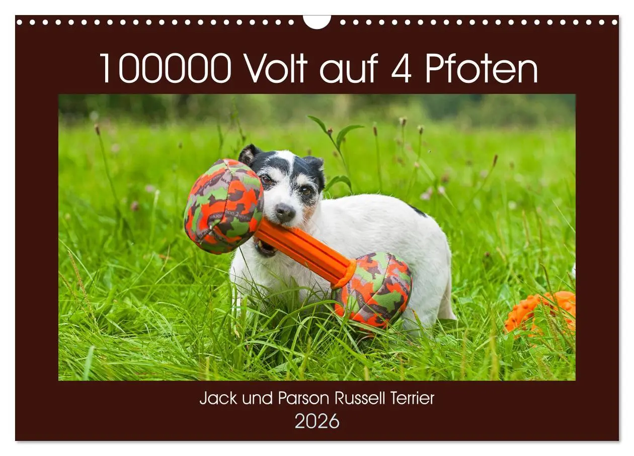 Cover: 9783457810477 | 100000 Volt auf vier Pfoten - Jack und Parson Russell Terrier...