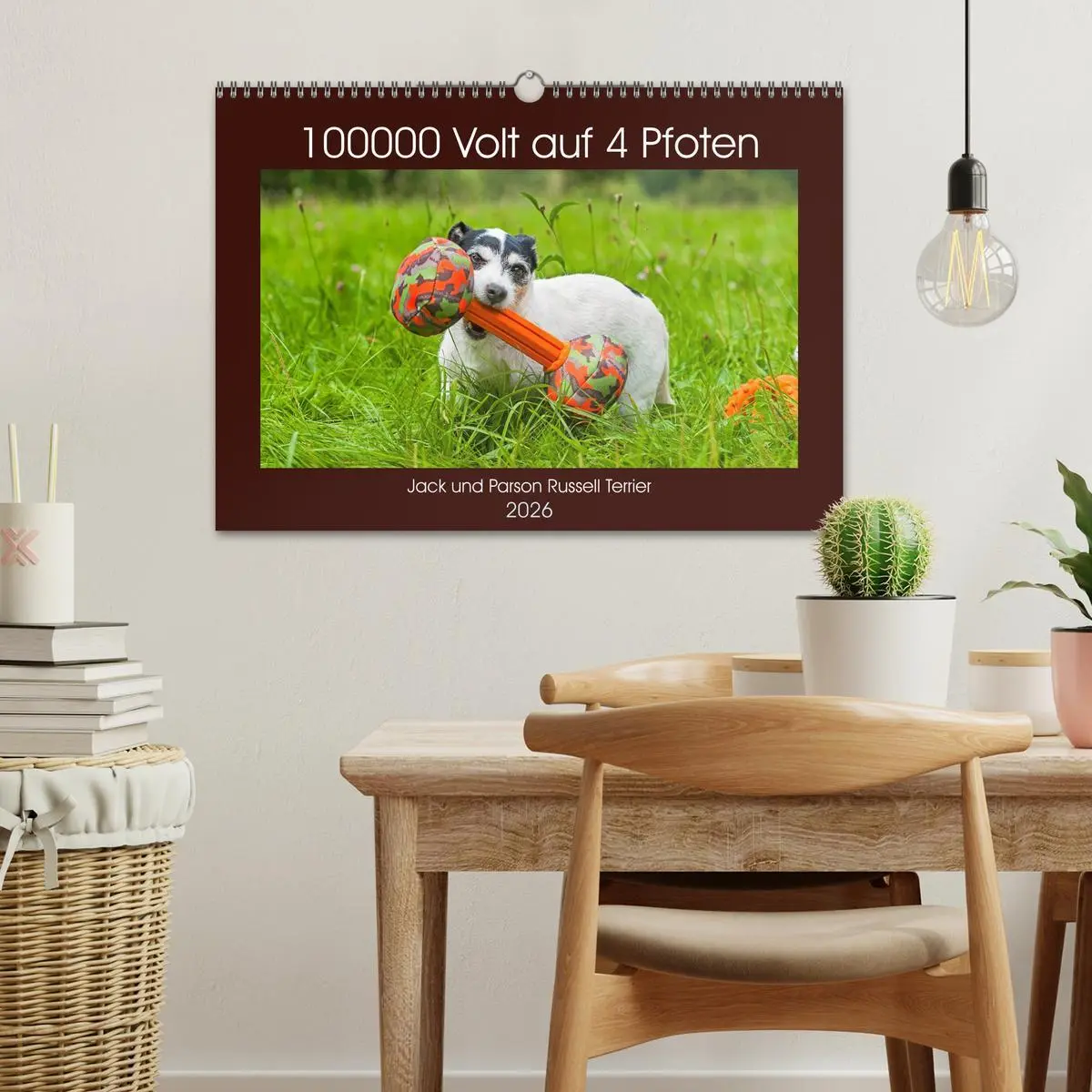 Bild: 9783457810477 | 100000 Volt auf vier Pfoten - Jack und Parson Russell Terrier...
