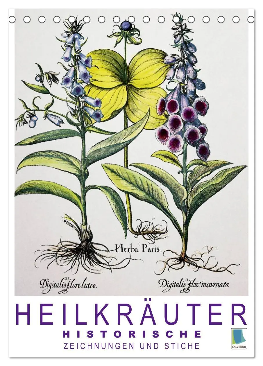 Cover: 9783516450477 | Heilkräuter: Historische Zeichnungen und Stiche (Tischkalender 2026...