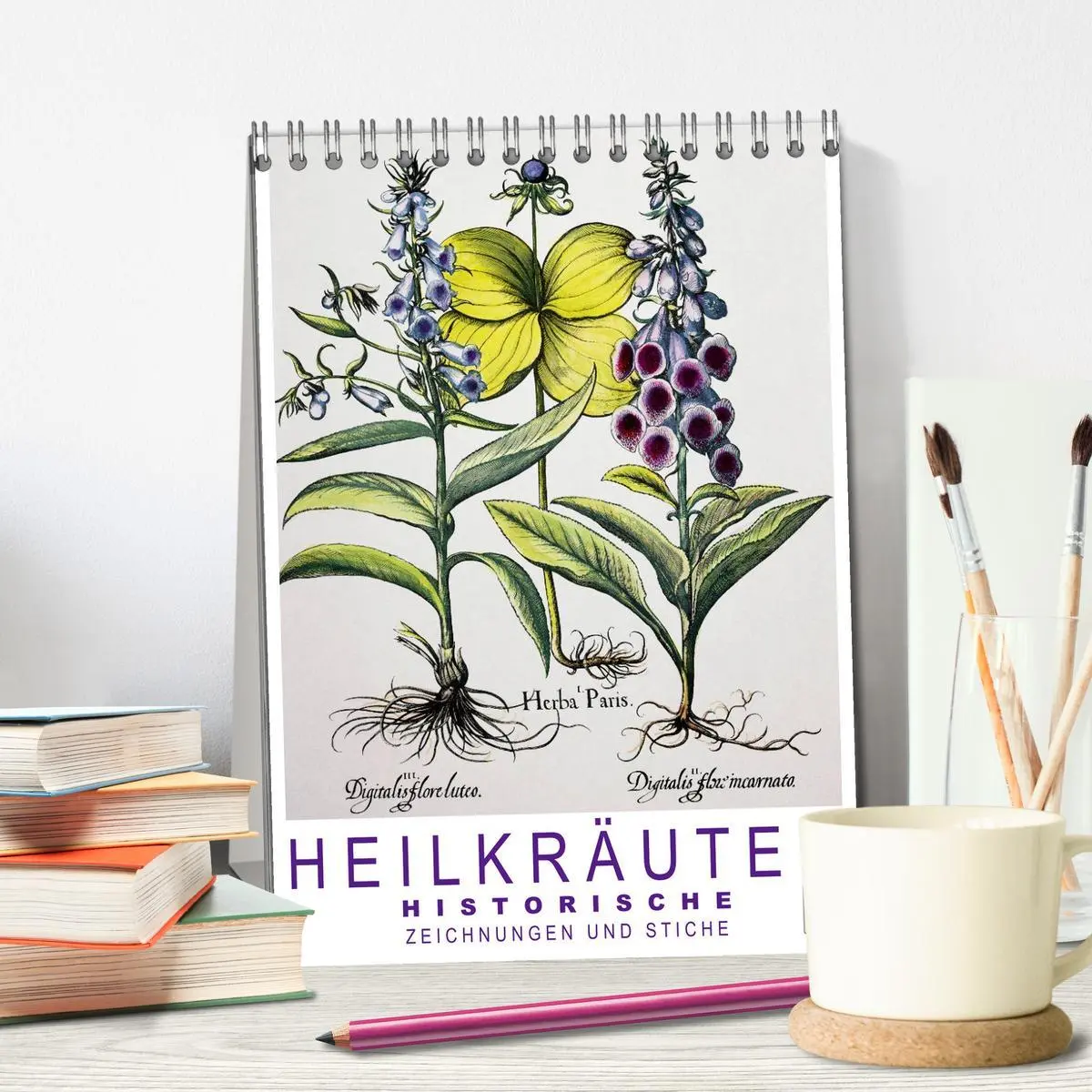 Bild: 9783516450477 | Heilkräuter: Historische Zeichnungen und Stiche (Tischkalender 2026...