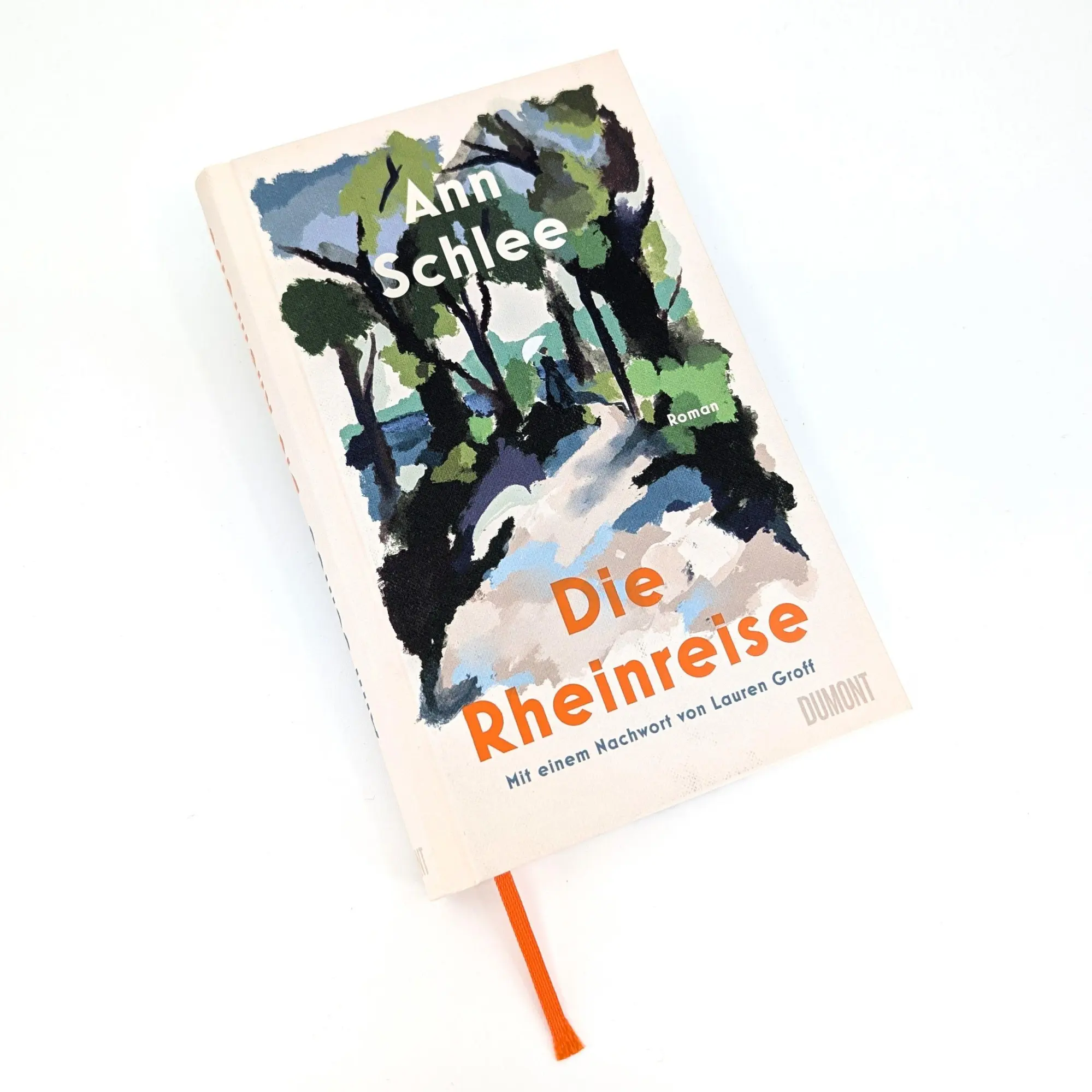 Bild: 9783755800477 | Die Rheinreise | Ann Schlee | Buch | 240 S. | Deutsch | 2025