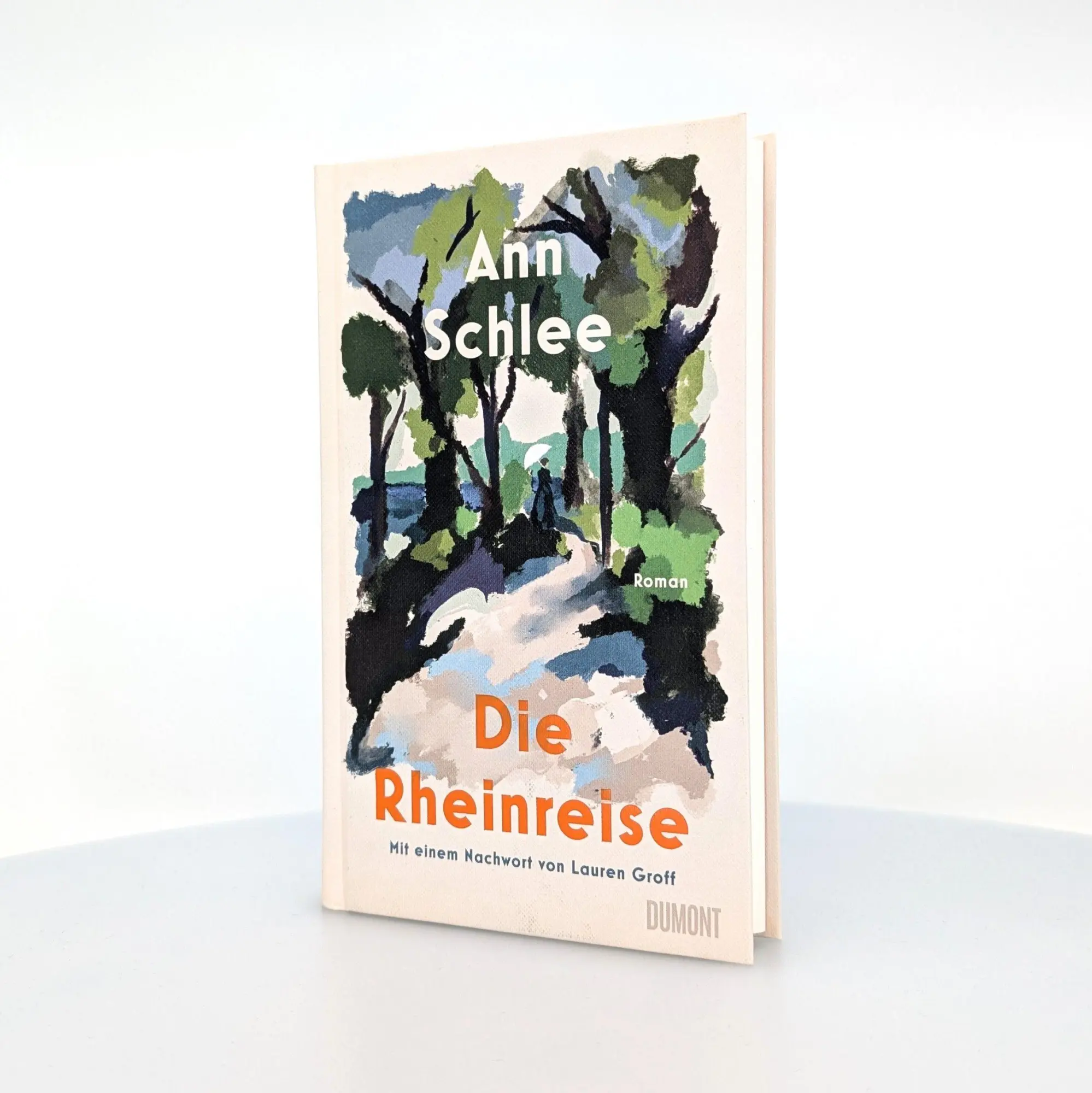 Bild: 9783755800477 | Die Rheinreise | Ann Schlee | Buch | 240 S. | Deutsch | 2025