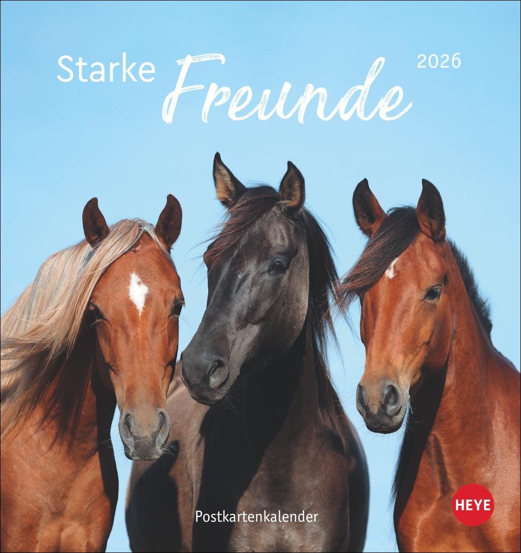 Cover: 9783756410477 | Pferde Postkartenkalender 2026 - Starke Freunde | Sabine Stuewer