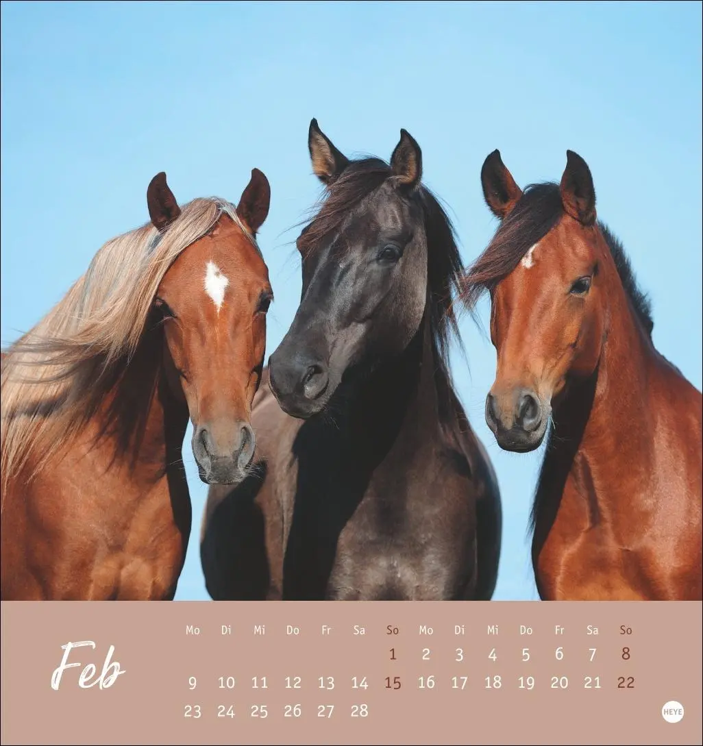 Bild: 9783756410477 | Pferde Postkartenkalender 2026 - Starke Freunde | Sabine Stuewer
