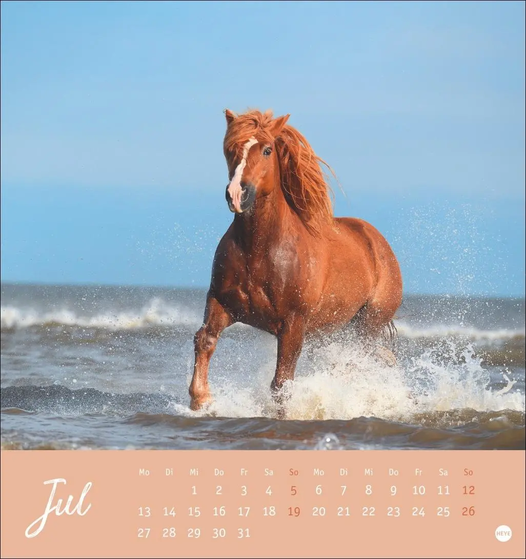 Bild: 9783756410477 | Pferde Postkartenkalender 2026 - Starke Freunde | Sabine Stuewer