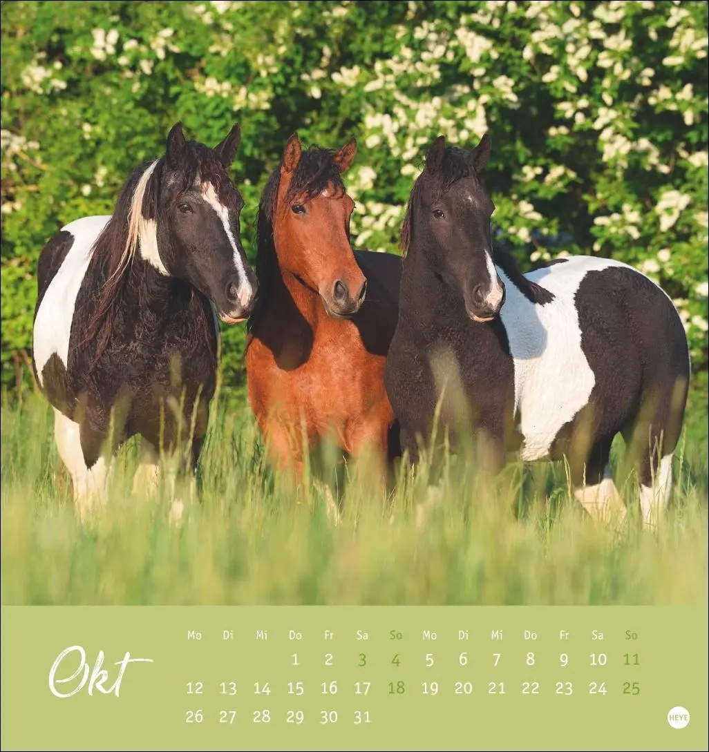 Bild: 9783756410477 | Pferde Postkartenkalender 2026 - Starke Freunde | Sabine Stuewer