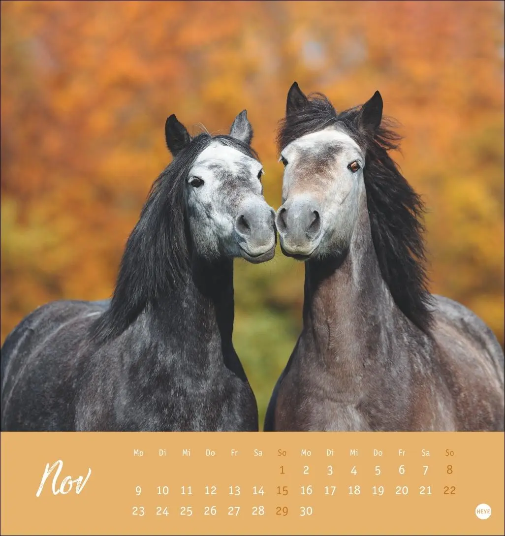 Bild: 9783756410477 | Pferde Postkartenkalender 2026 - Starke Freunde | Sabine Stuewer