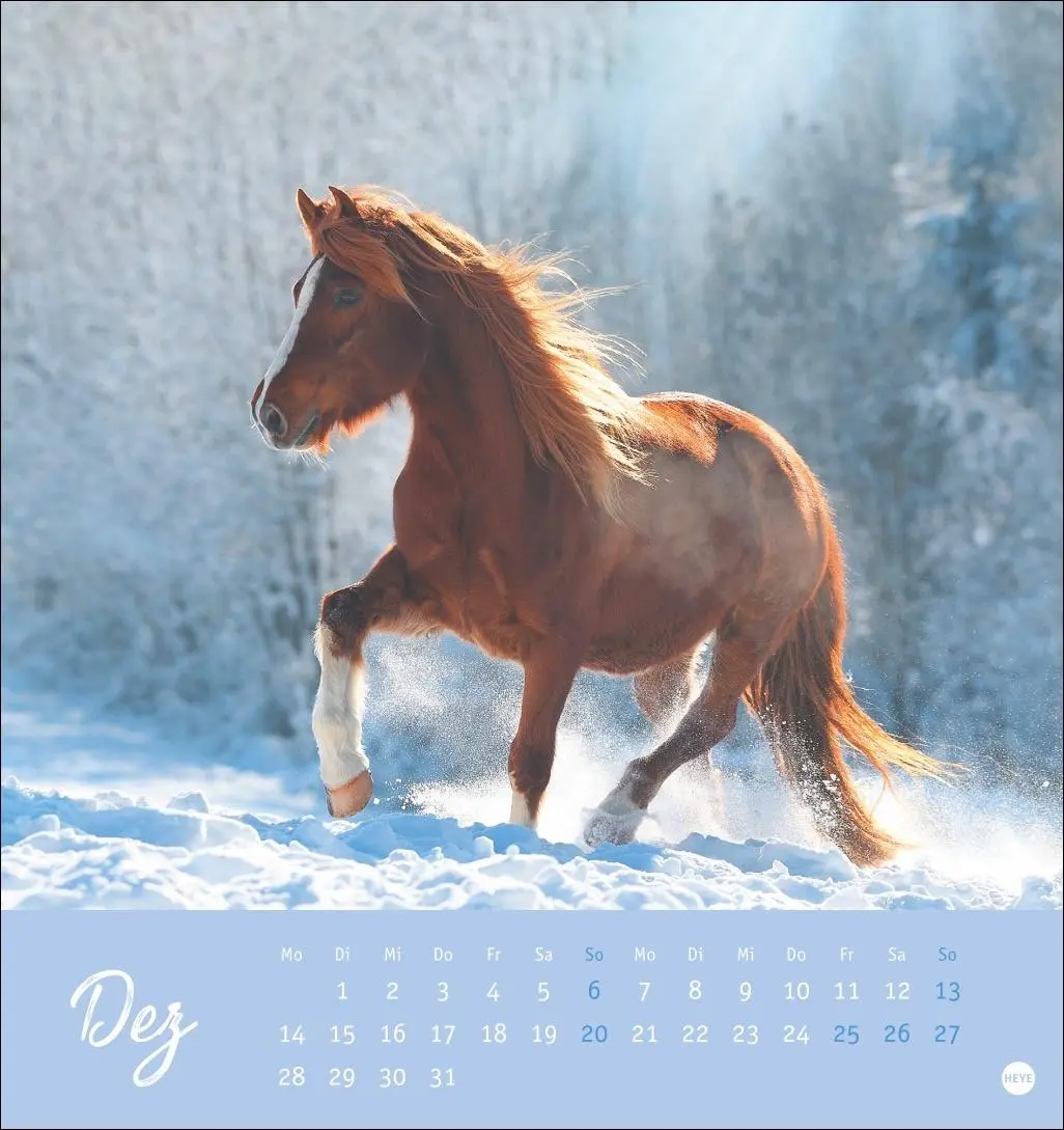 Bild: 9783756410477 | Pferde Postkartenkalender 2026 - Starke Freunde | Sabine Stuewer