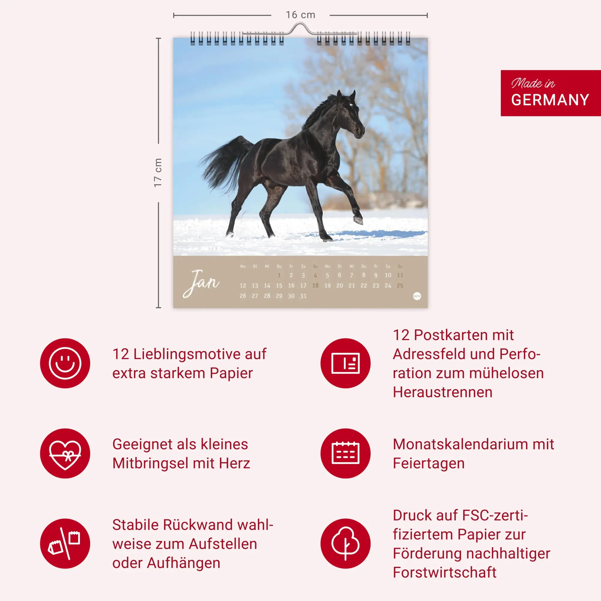 Bild: 9783756410477 | Pferde Postkartenkalender 2026 - Starke Freunde | Sabine Stuewer