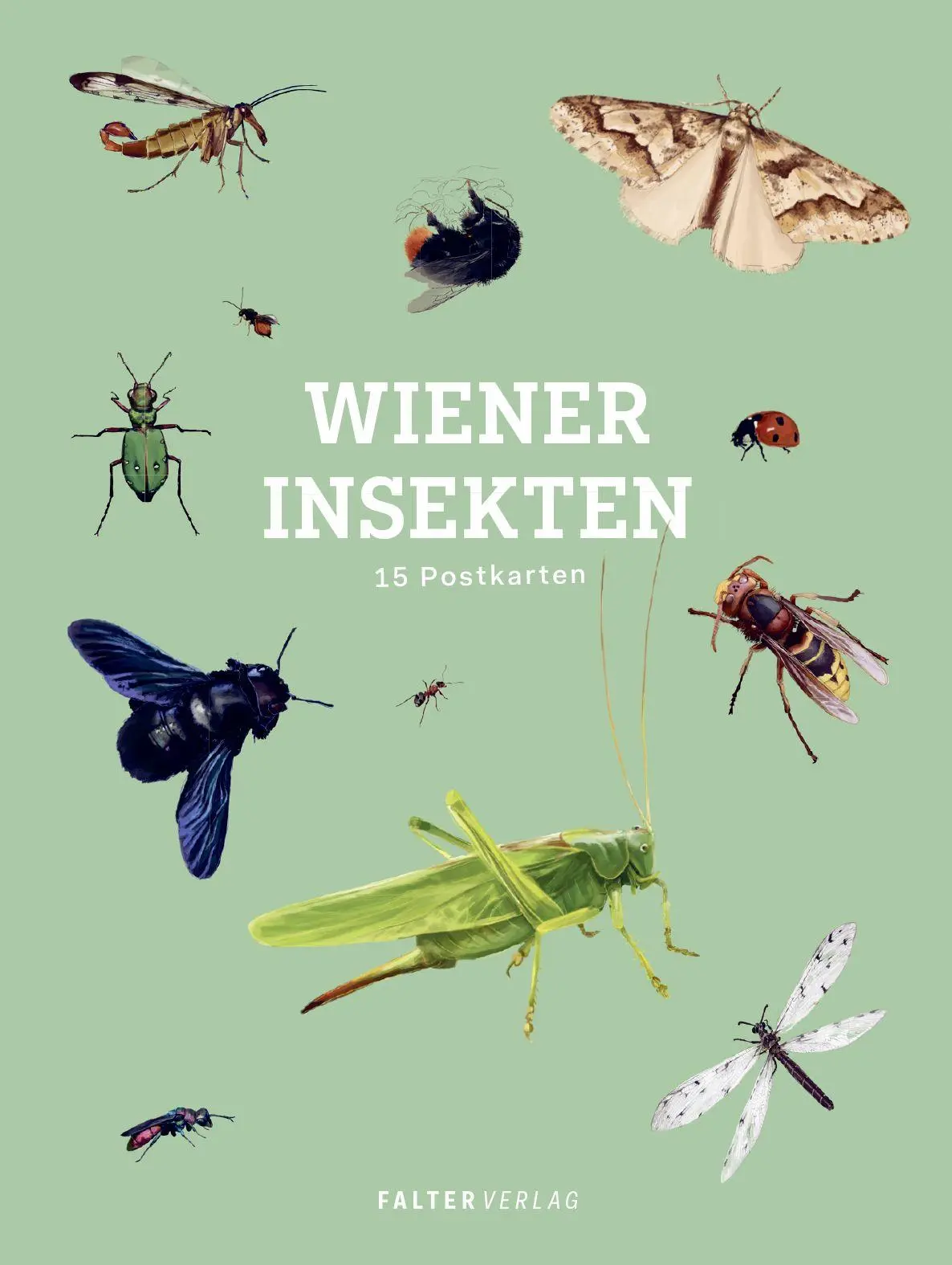 Cover: 9783991660477 | Wiener Insekten - Postkartenbuch | 15 Postkarten | Taschenbuch | 32 S.