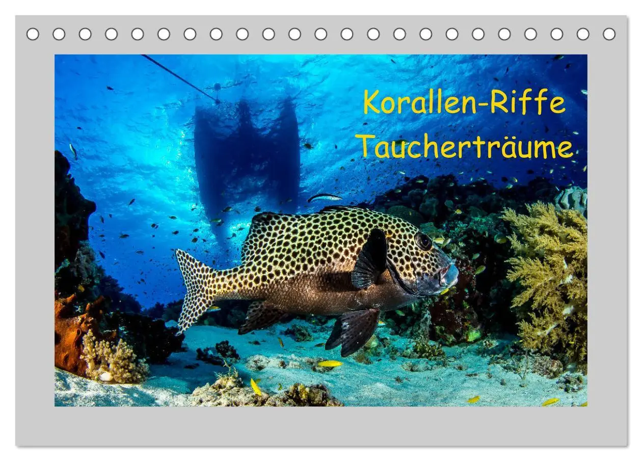 Cover: 9783457730577 | Korallen-Riffe Taucherträume (Tischkalender 2026 DIN A5 quer),...