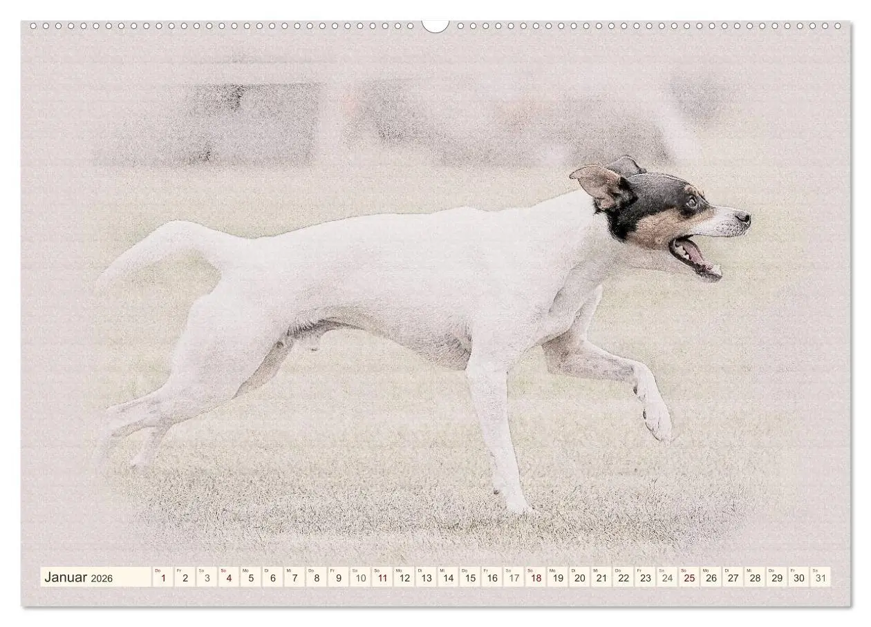 Bild: 9783516130577 | Bodeguero Andaluz 2026 (Wandkalender 2026 DIN A2 quer), CALVENDO...