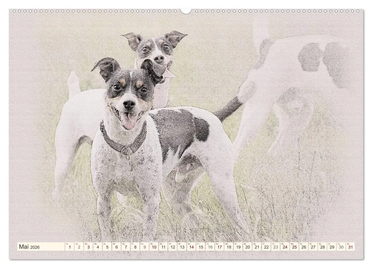Bild: 9783516130577 | Bodeguero Andaluz 2026 (Wandkalender 2026 DIN A2 quer), CALVENDO...