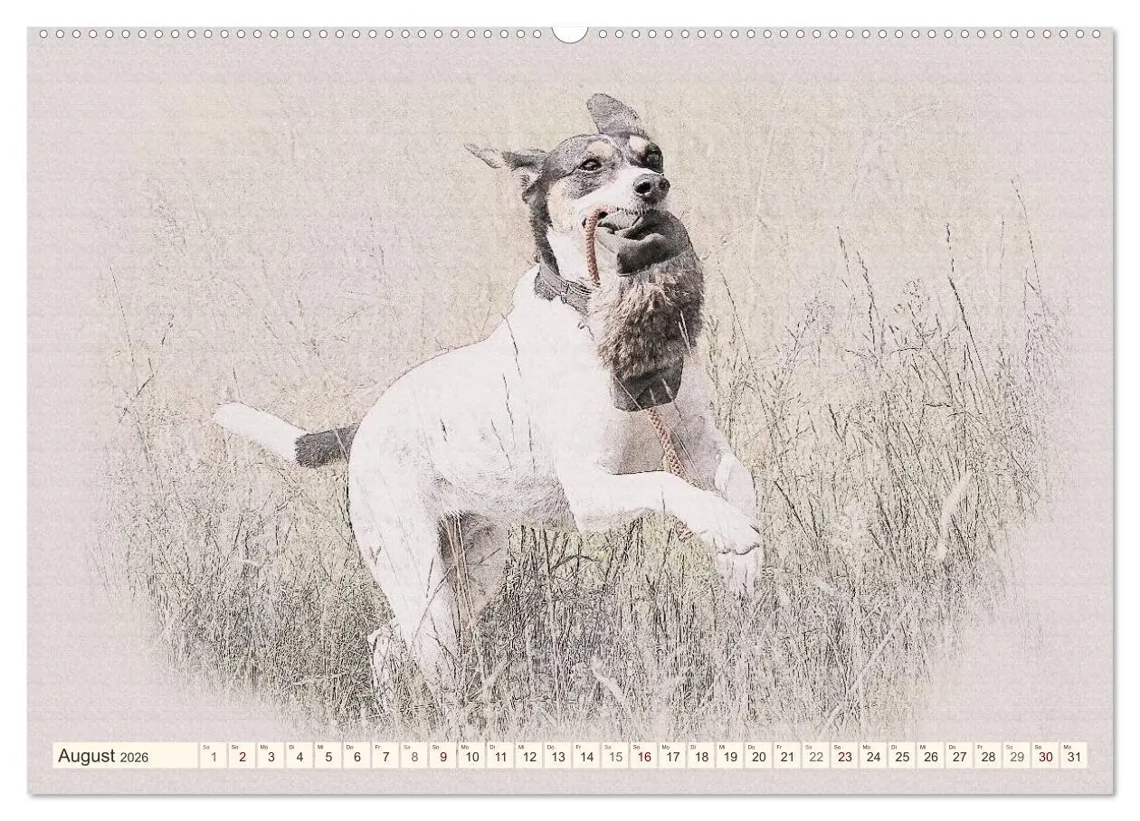 Bild: 9783516130577 | Bodeguero Andaluz 2026 (Wandkalender 2026 DIN A2 quer), CALVENDO...