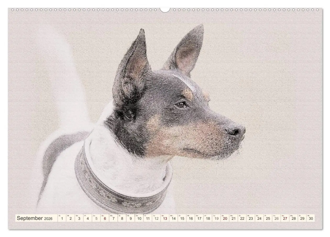 Bild: 9783516130577 | Bodeguero Andaluz 2026 (Wandkalender 2026 DIN A2 quer), CALVENDO...